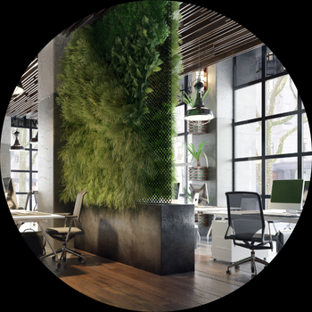 Cloud Security Services