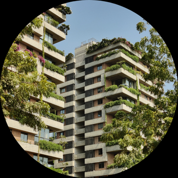 Sustainability Consulting